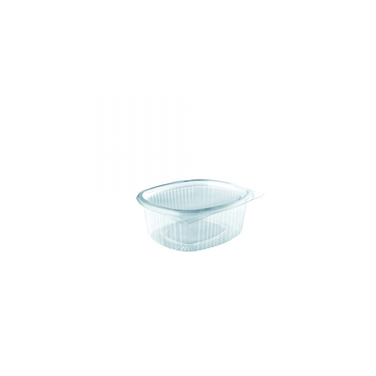 square clear hinged container with lid 250