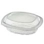 square clear hinged container with lid 250