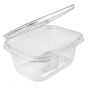 rectangular hinged containers with lid 145*125 / 30 / 250 